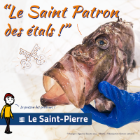 AFISHMOI ST PIERREv2