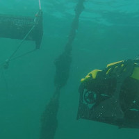 Inspection mouillage et cage oceano ROV