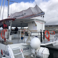 SAILCOOP SEPT24ED4A9CC8 3F22 48A9 A0EB 7588115ACAFD 1 102 o