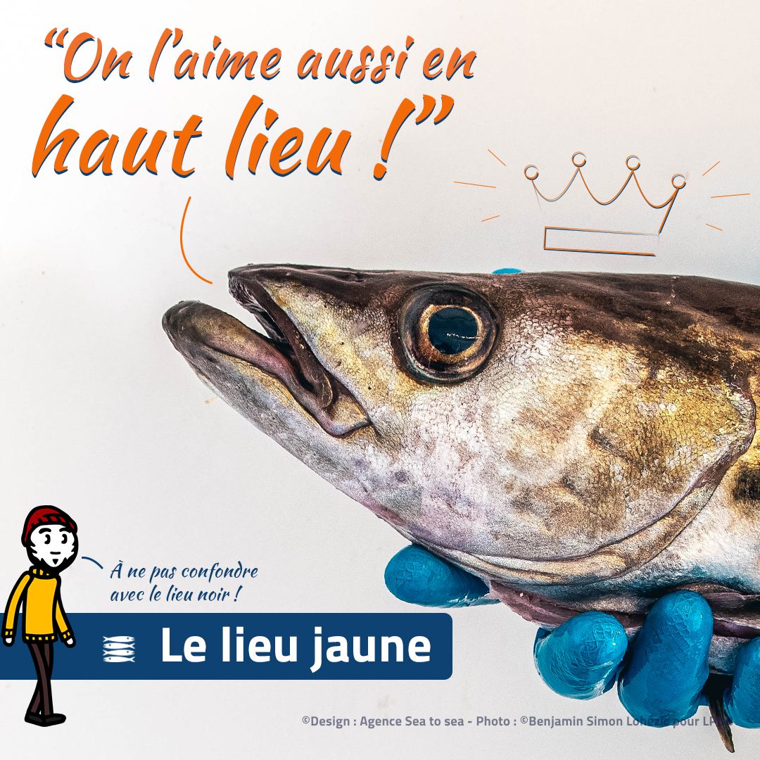 AFFISHMOI LIEU JAUNE credits