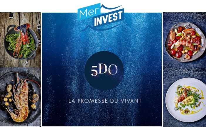 Mer Invest 5DO